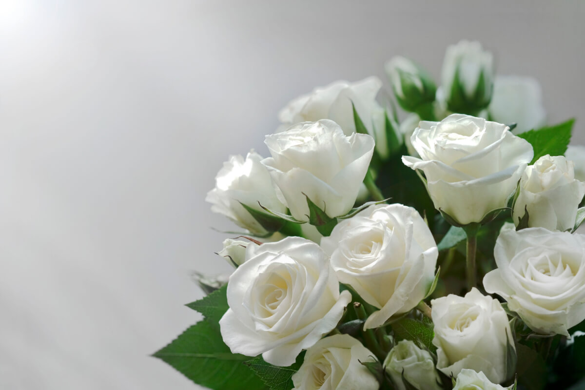 Send Flowers