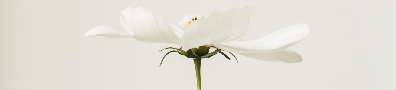 How to Plan a Funeral: A Step-by-Step Guide for Families