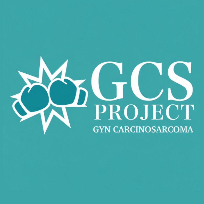 The GCS Project